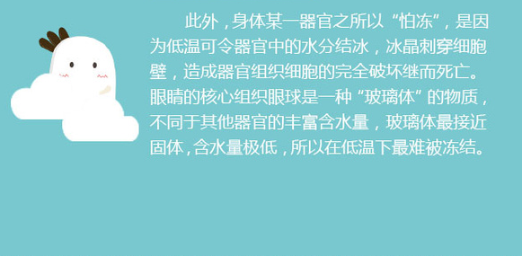 告訴你個“小秘密”：為什么眼睛不怕冷？